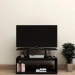 TV Console in Wenge Finish