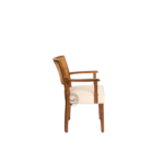 Side view showing ergonomic armrests, cane back, and cushioned seat of JR Rattan Dining Chair